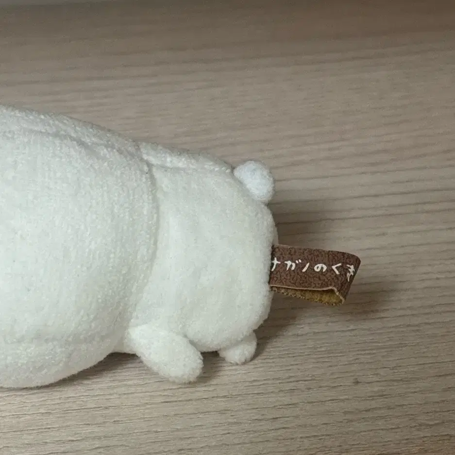 눈팅팅 농담곰 8cm