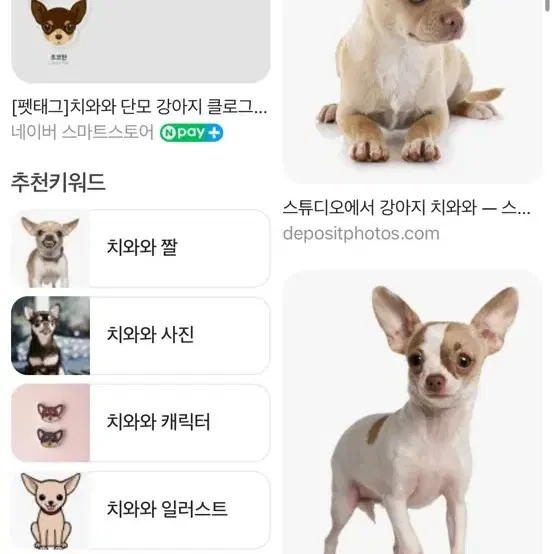 감쟈님 물건이요