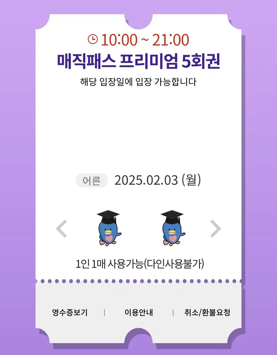 2월 3일 (월) 롯데월드 매직패스 5회권 - 후기다수