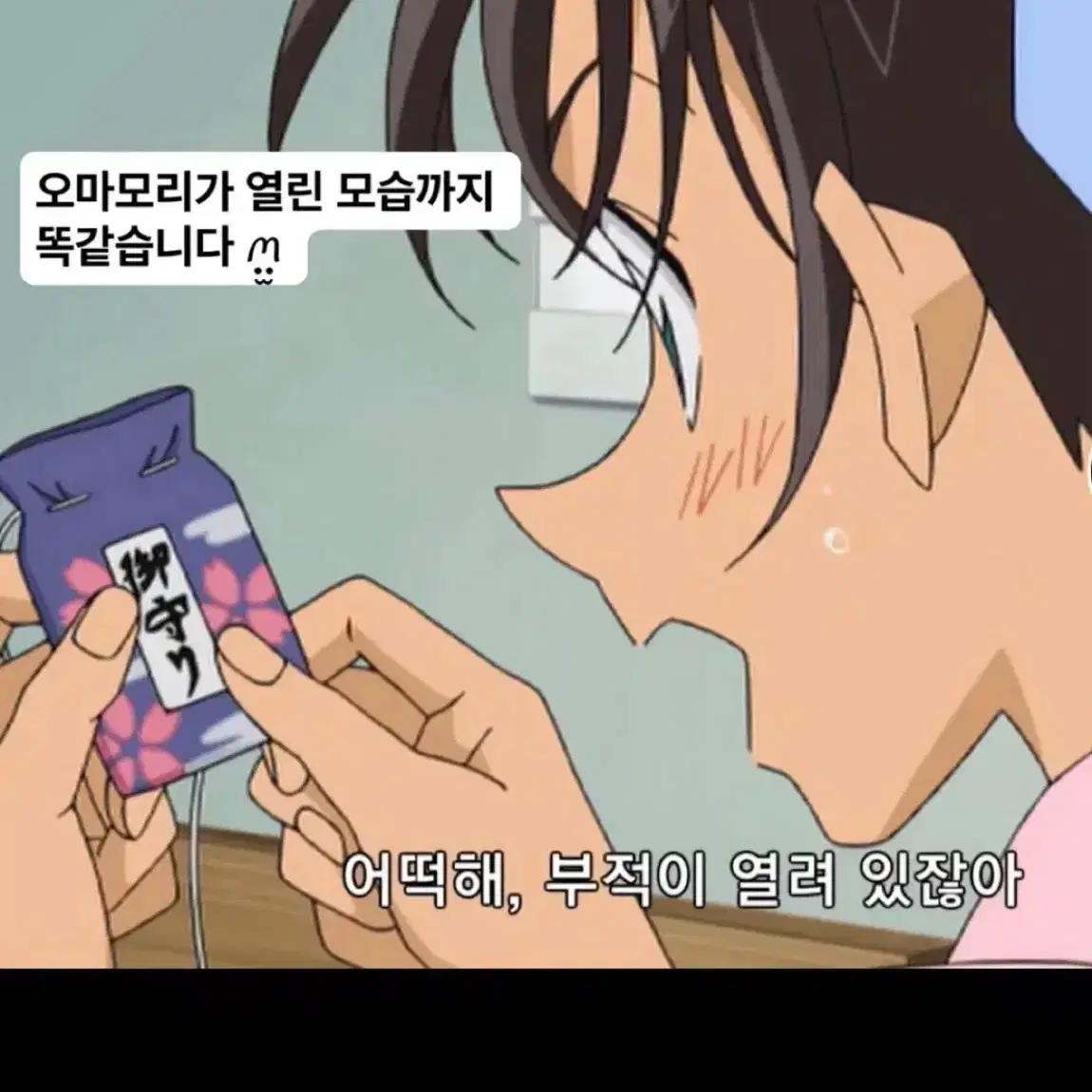 명탐정코난 헤이지 카즈하 오마모리 하인성 서가영 헤카 부적 핫토리 굿즈