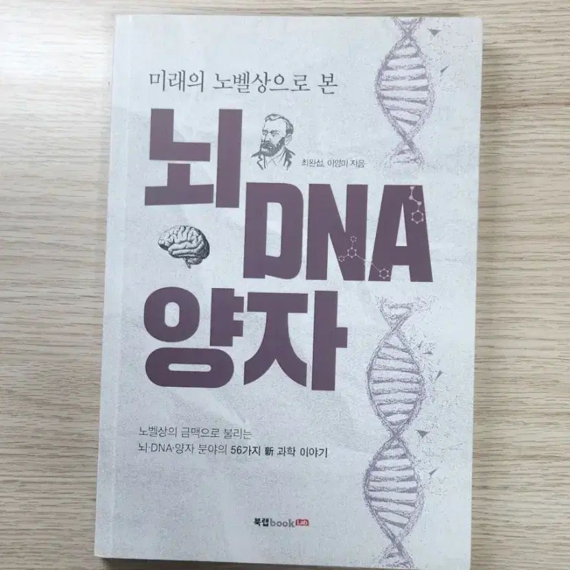 뇌 DNA 양자