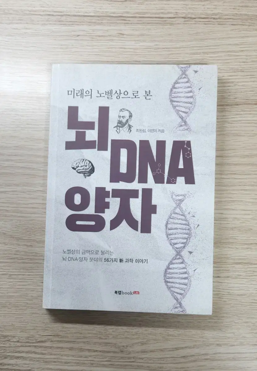 뇌 DNA 양자