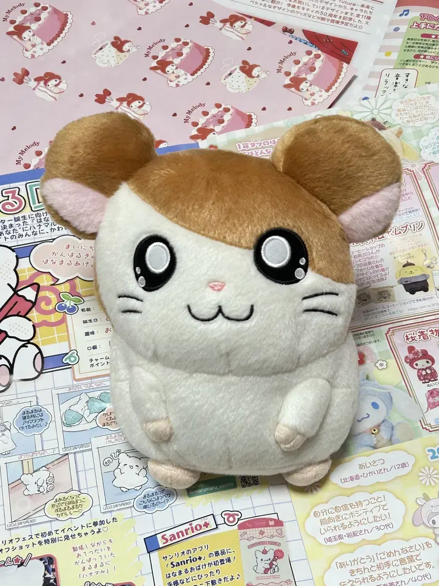 22cm Classic Banga Banga Hamster Hamster Medium Doll