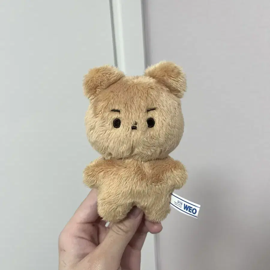 더보이즈 현재 10cm 인형 달곰이