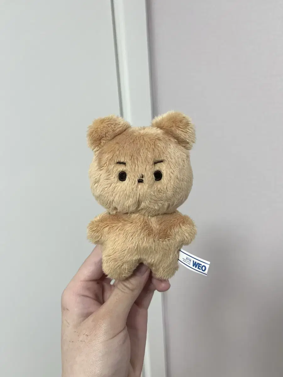 더보이즈 현재 10cm 인형 달곰이