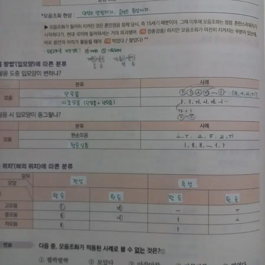 정석민 2026 문이유