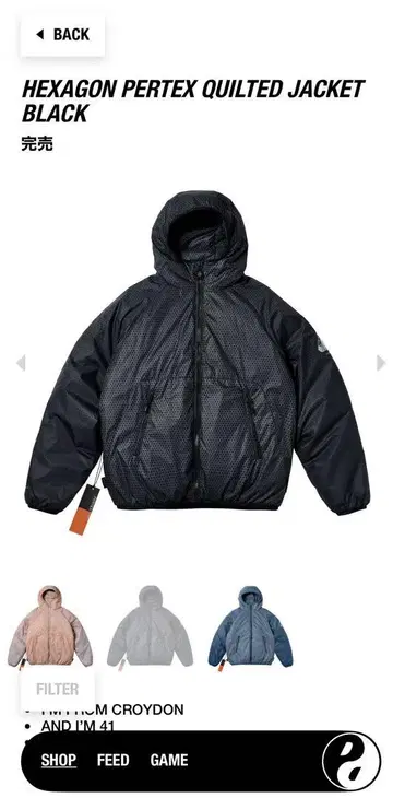 팔라스 HEXAGON PERTEX QUILTED JACKET