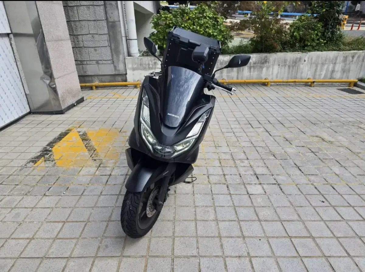 2021년식 PCX 125 ABS 모델 무광블랙 순정 1,@@@km