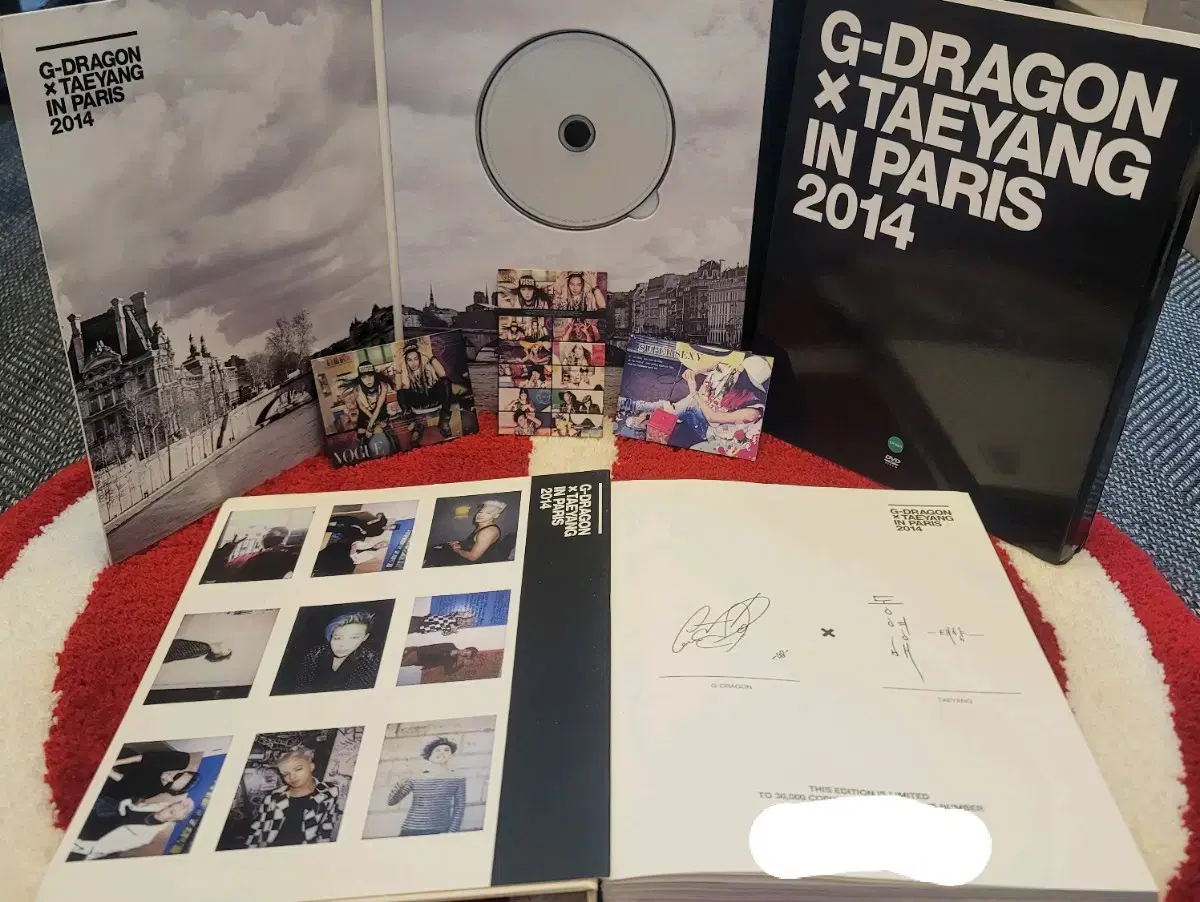 지디X태양 IN PARIS 2014