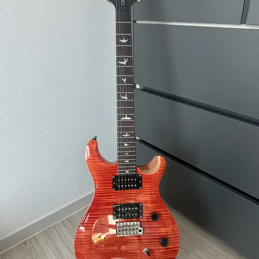 PRS CE24 팝니다 !