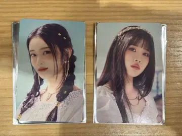 사쿠라이 미와 & 다카미 분닝 라포스타 2025 갤러리 특별 세트