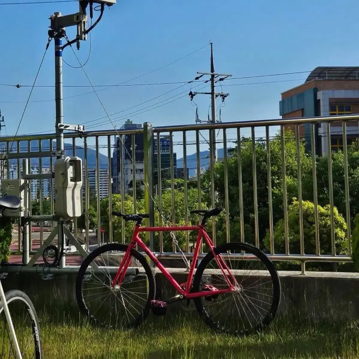 메버릭 예단 제단 sscx픽시 완차 판매