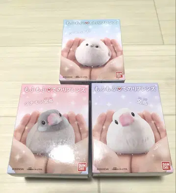 모후모후 테노레 프렌즈 시마연가 문조 시나몬 문조