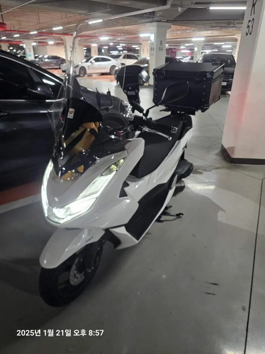 PCX125 24년식 신차급