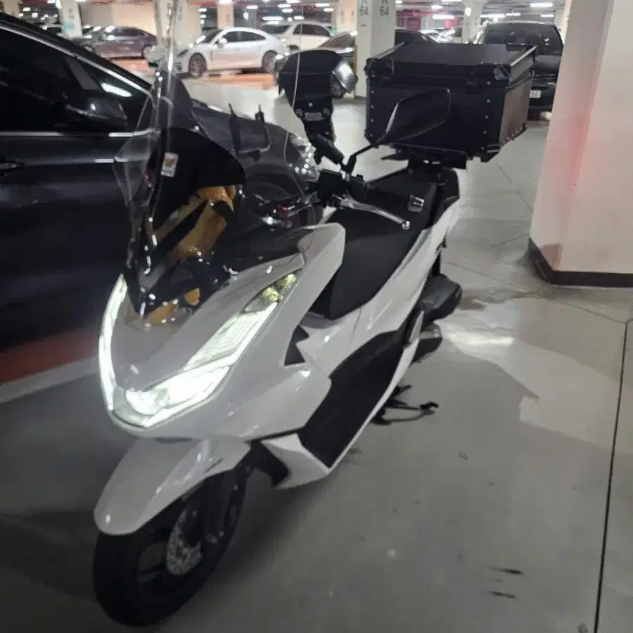 PCX125 24년식 신차급