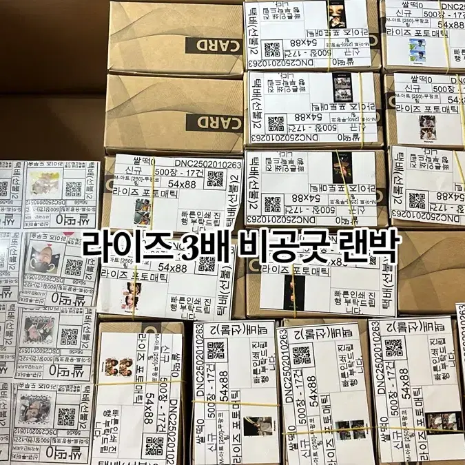 오늘마감)라이즈 최대 3배 비공굿 랜박 판매 양도 포카 예약판매 선입금