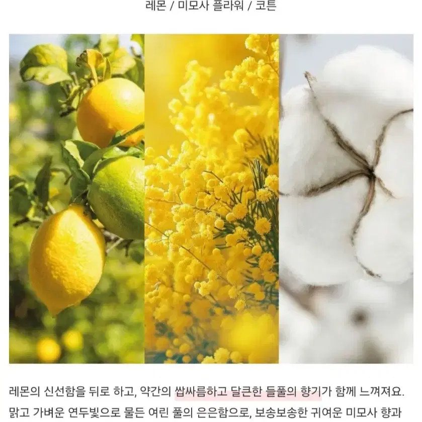 [네이처퓸] 윈터레몬 향수