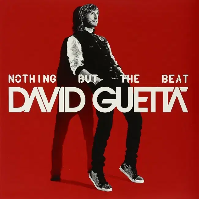 데이빗 게타 LP / Nothing But The Beat