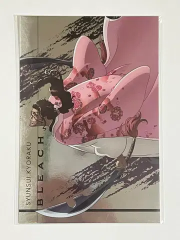 BLEACH 메탈 엽서 컬렉션  교가쿠 슈스이