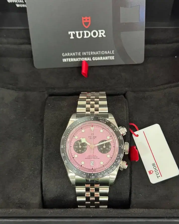 TUDOR Black bay pink