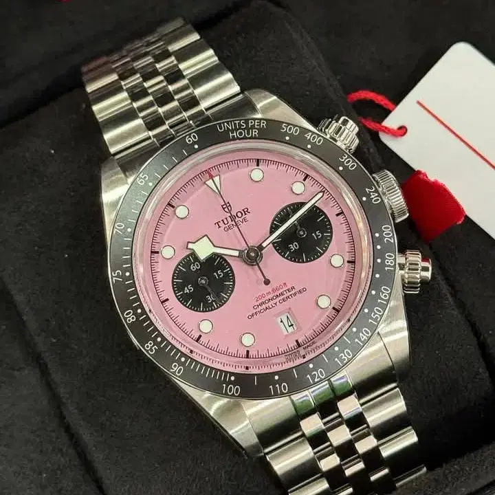 TUDOR Black bay pink