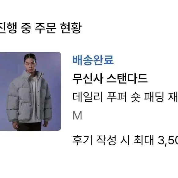 택도 안뗀 무신사스탠다드 패딩(m)