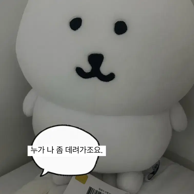 농담곰 인형M