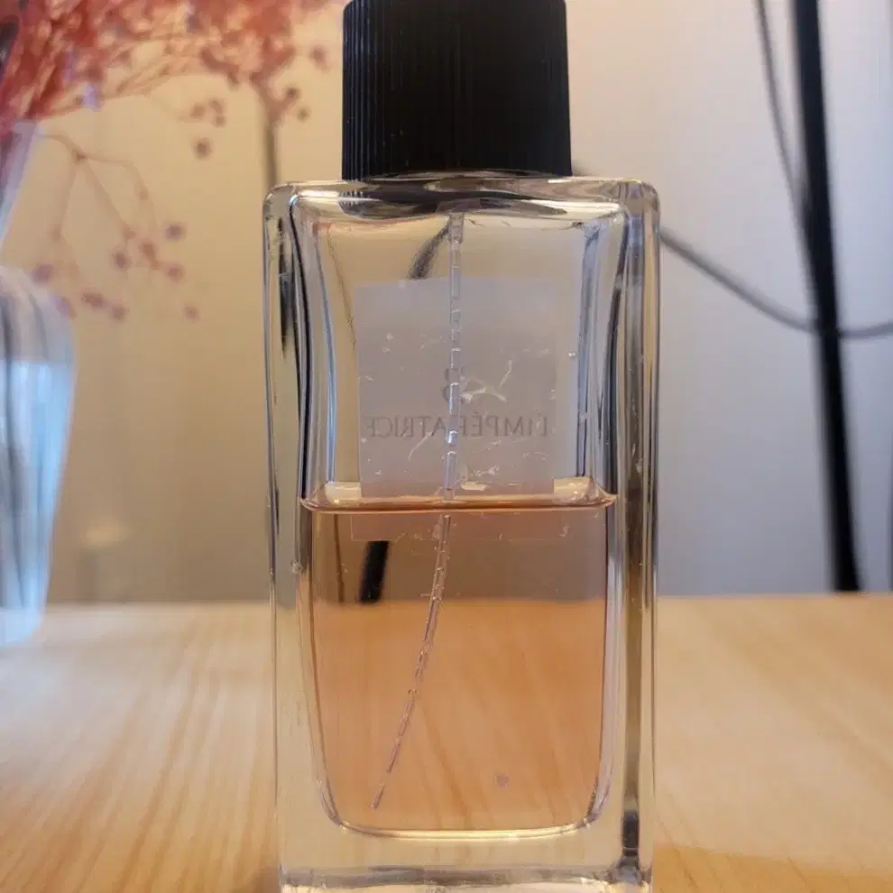 돌체앤가바나 램프 하트리스 EDT 100ml 향수