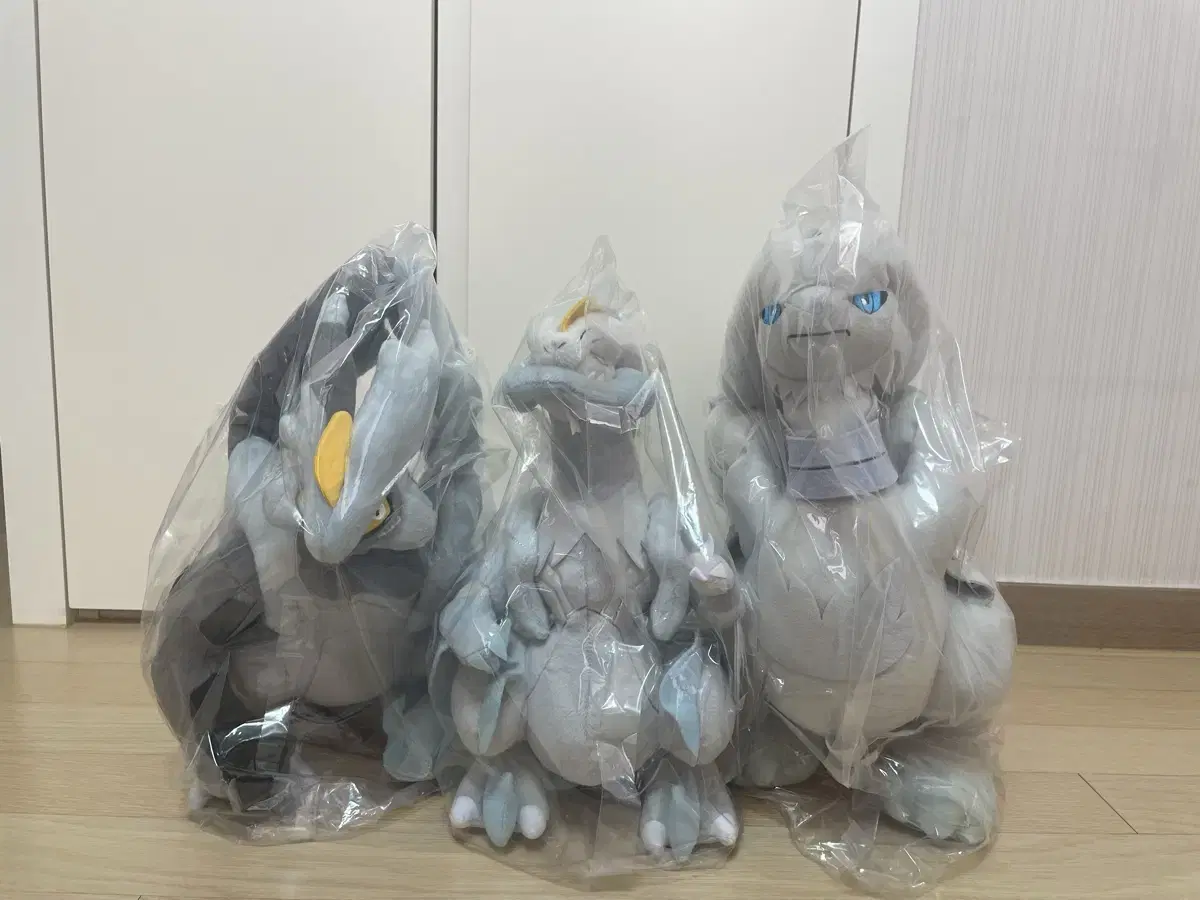 포켓몬스터 2012 블랙 큐레무 화이트 큐레무 레시라무 인형 포켓몬센터