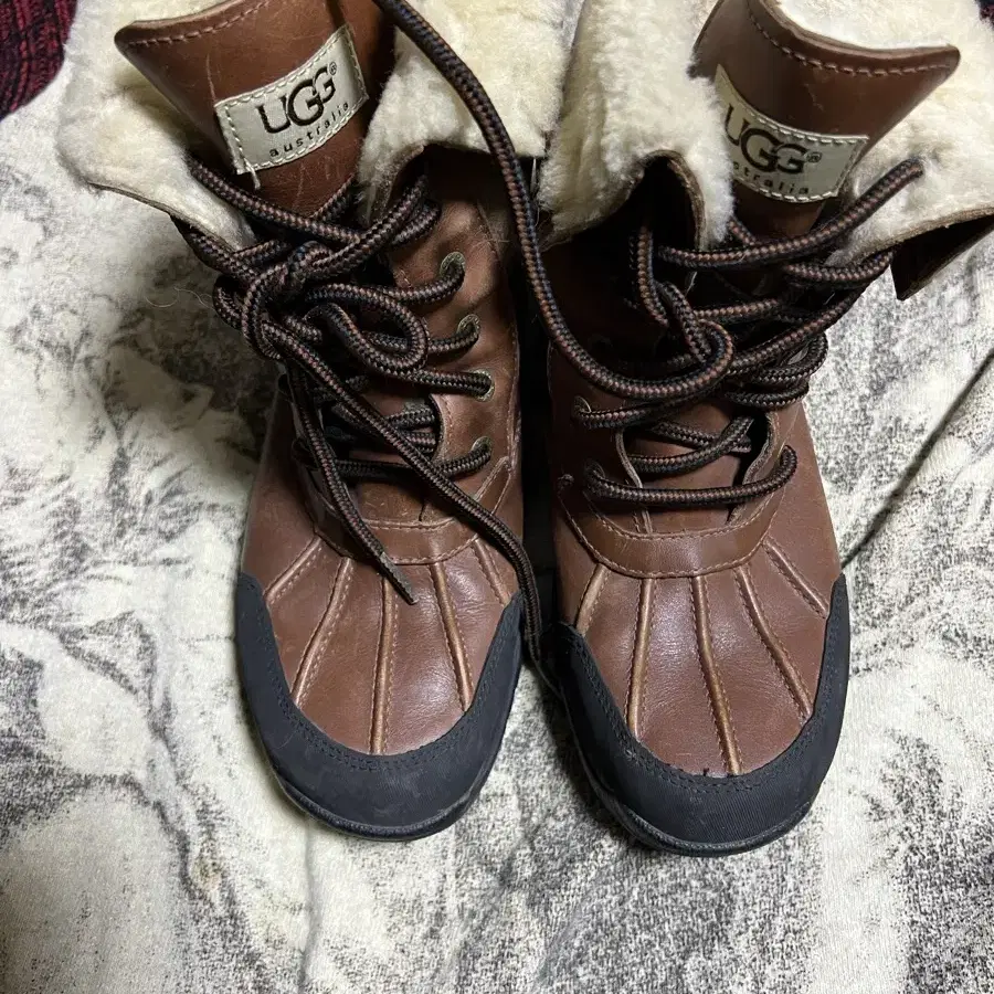 UGG Ashton Addie 어그부츠