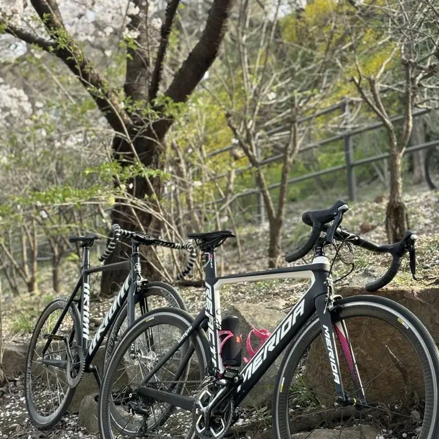 급처)메리다 리엑토 4000 카본휠셋 판매