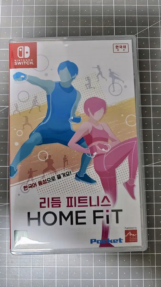 닌텐도 홈핏 리듬 피트니스