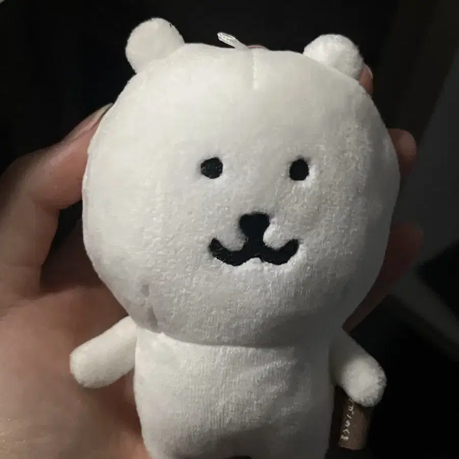 놈담곰 8cm