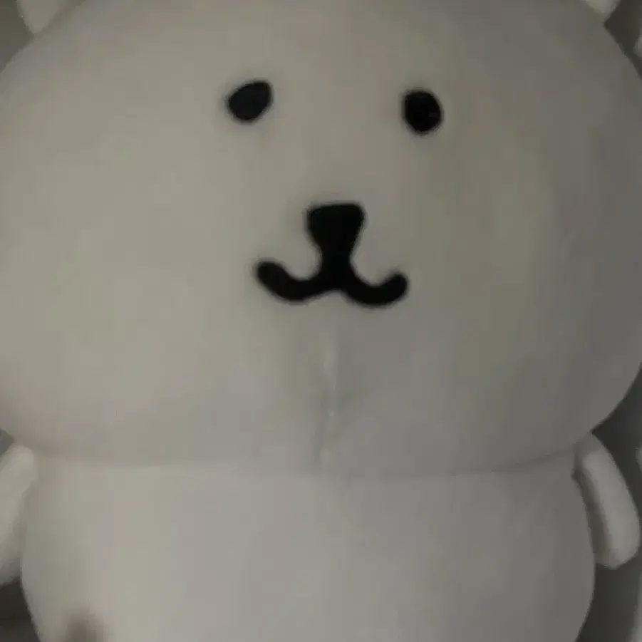 농담곰 L