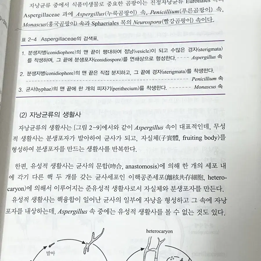 식품 미생물학 교재 식품영양