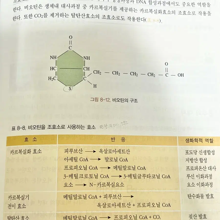 21세기 영양학 6판 교재 식품영양학 식영