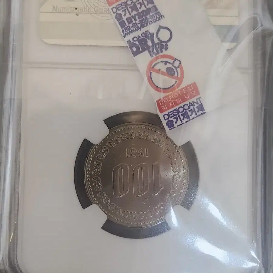 100원동전 1981년 NGC 64등급