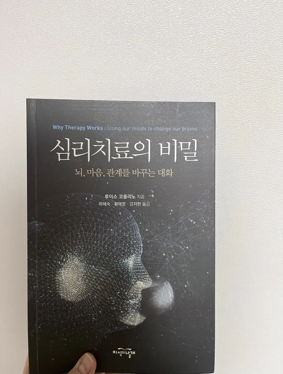 심리치료의 비밀