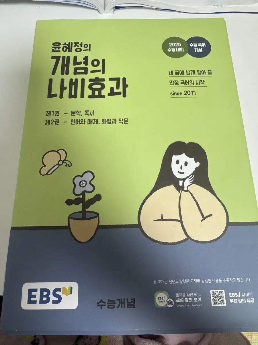 윤혜정 개념의 나비효과 판매