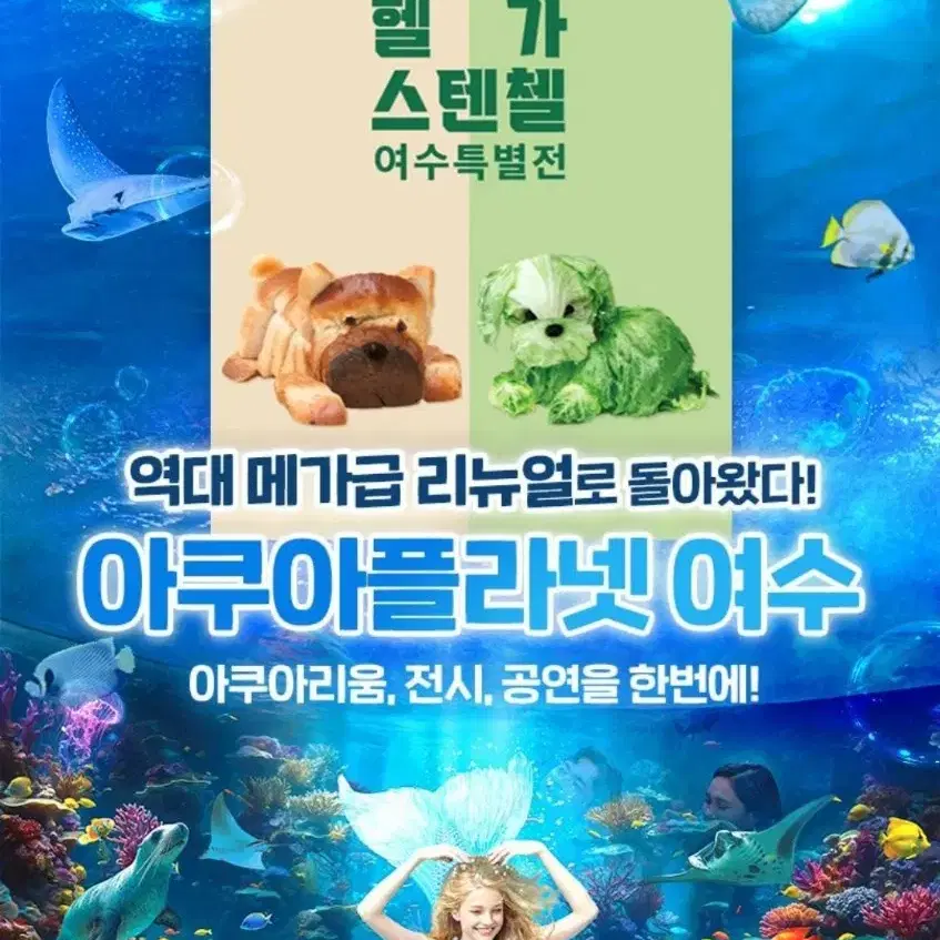 여수 아쿠아플라넷 입장권