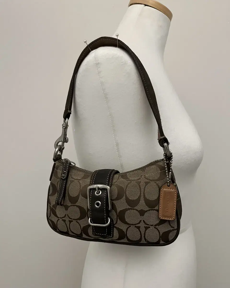 Coach Limited Edition Brown Shoulder Bag