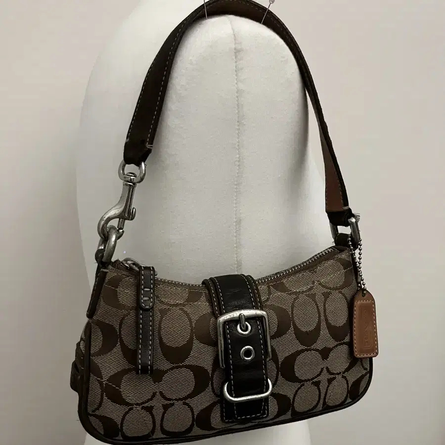 Coach Limited Edition Brown Shoulder Bag