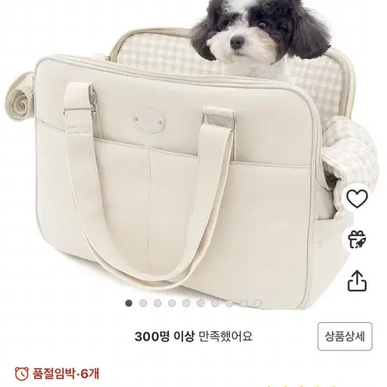 강아지 이동 가방