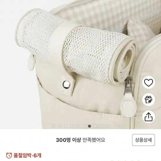 강아지 이동 가방