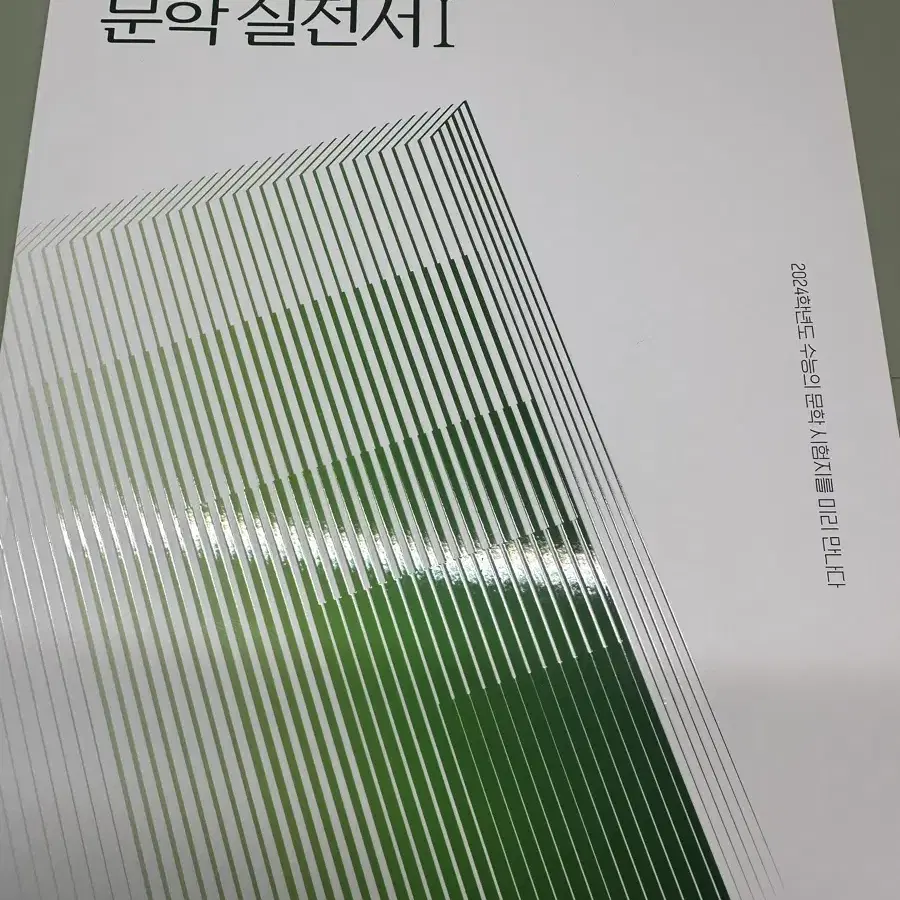 정석민 문학 실전서