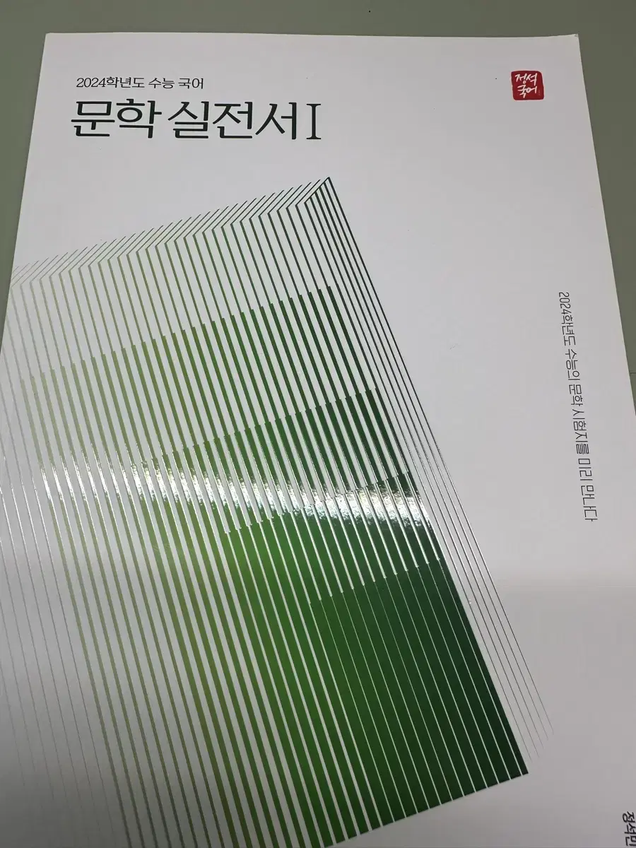 정석민 문학 실전서