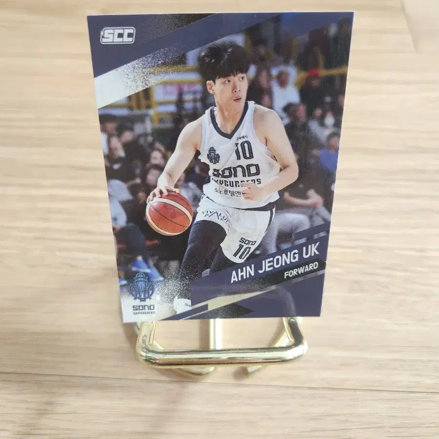 kbl 고양 소노 스카이거너스 안정욱 농구카드