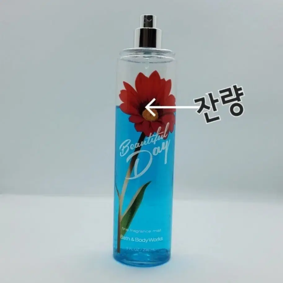 배쓰앤바디웍스 뷰티풀 데이 바디미스트 236ml