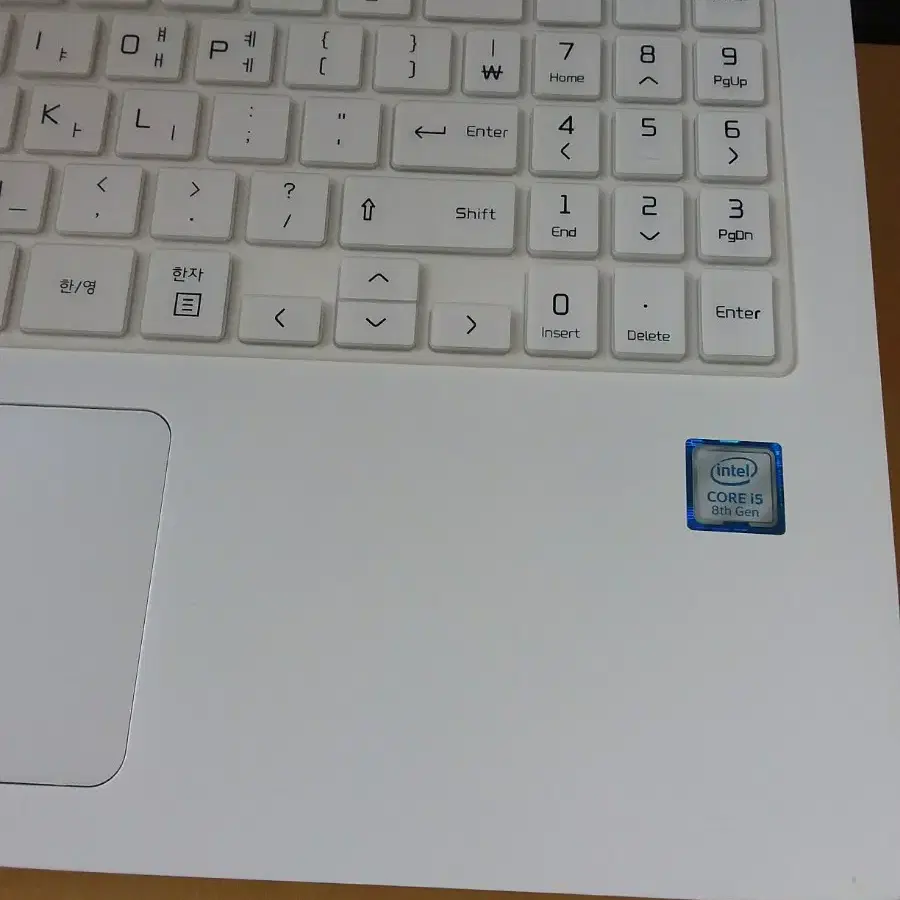 LG그램 i5-8265u 15ZB990-GP50ML SSD500GB