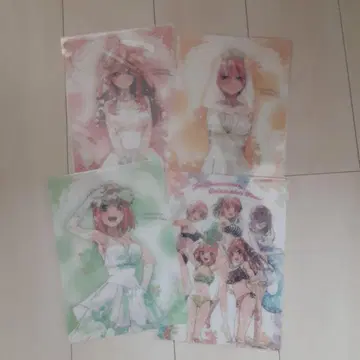 5등분 신부 B5 책받침 4매 세트